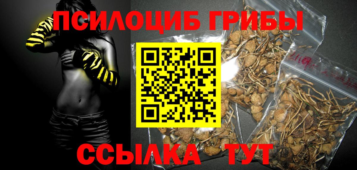 Галлюциногенные грибы GOLDEN TEACHER Коммунар