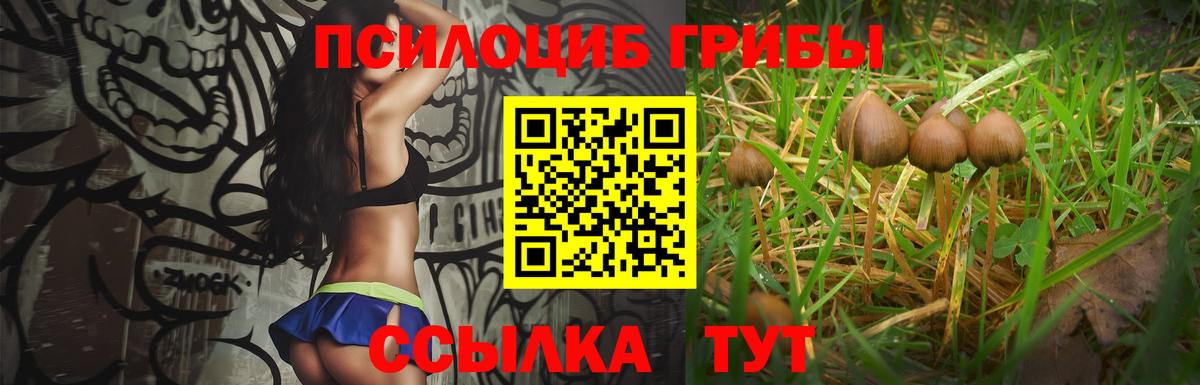 Коммунар  Псилоцибиновые грибы прущие грибы  дарнет шоп  Вход с VPN 